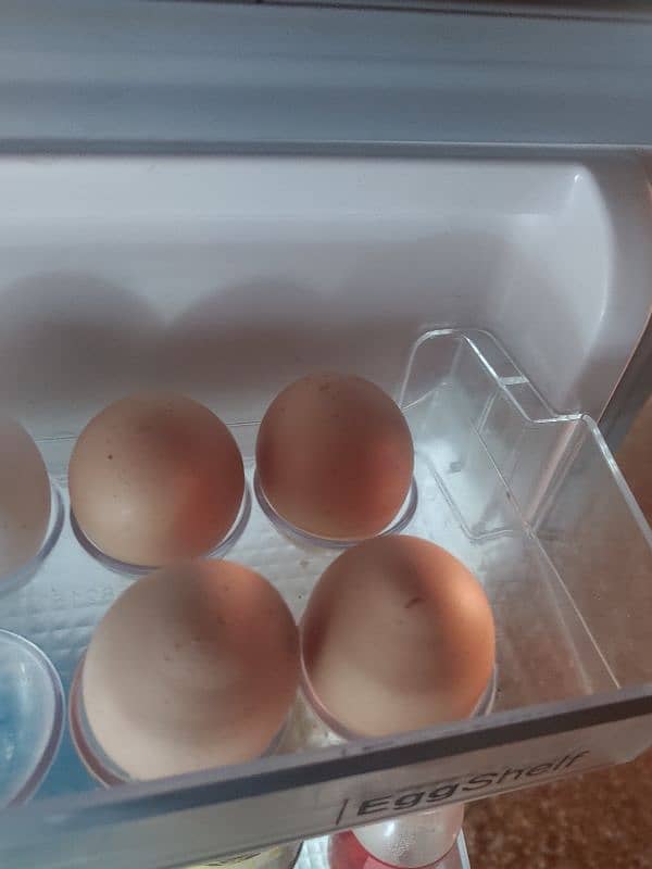 Desi eggs available for sale 0