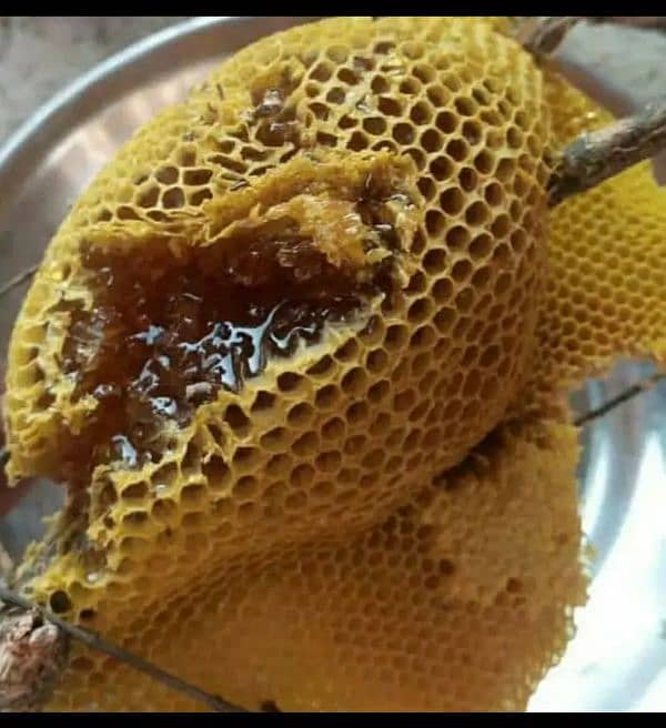 Honey 100% pure  natural guarantee for sales 3