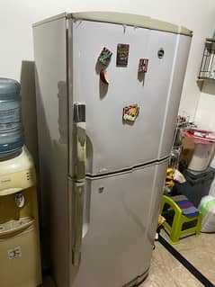 PEL single door fridge