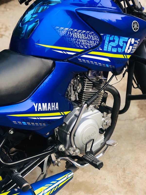 Yamaha YBR G Blu Beauty 7