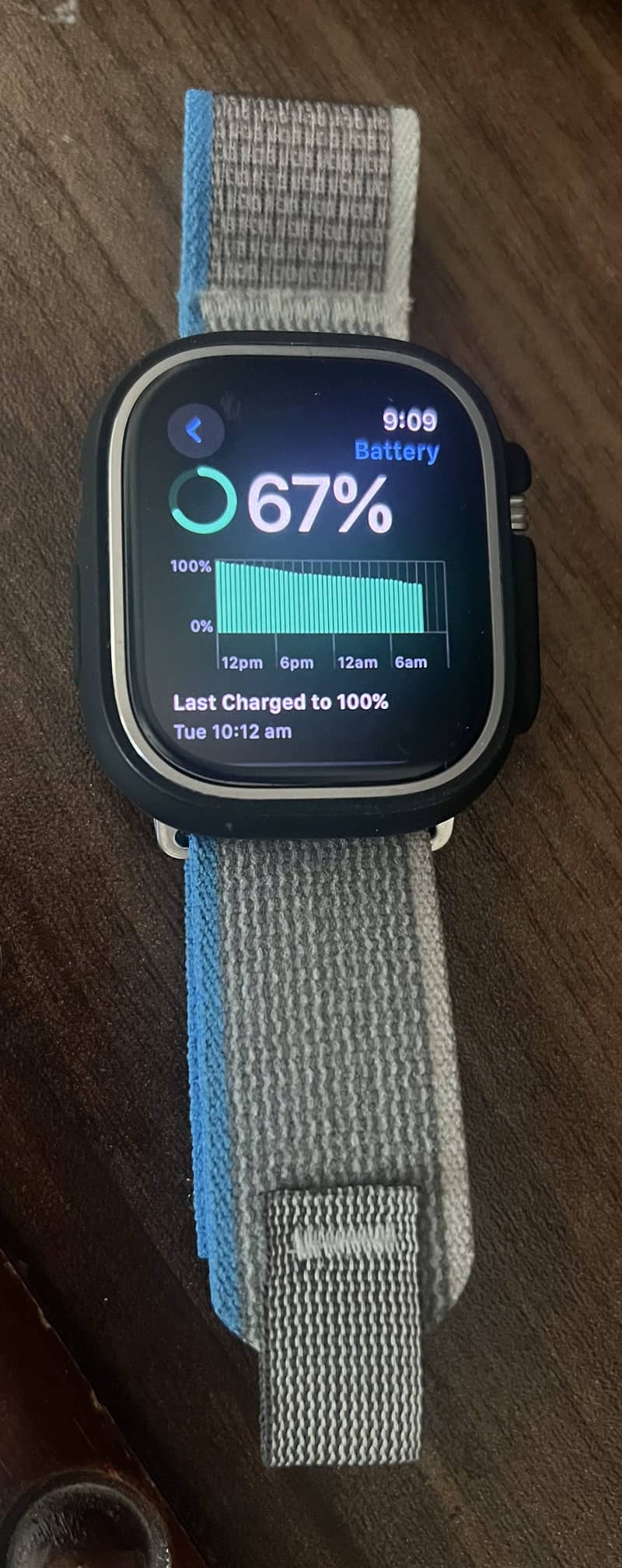 Apple Watch Ultra 2 Titanium 49mm 14