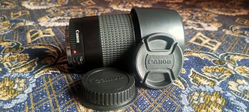 Canon M50 16