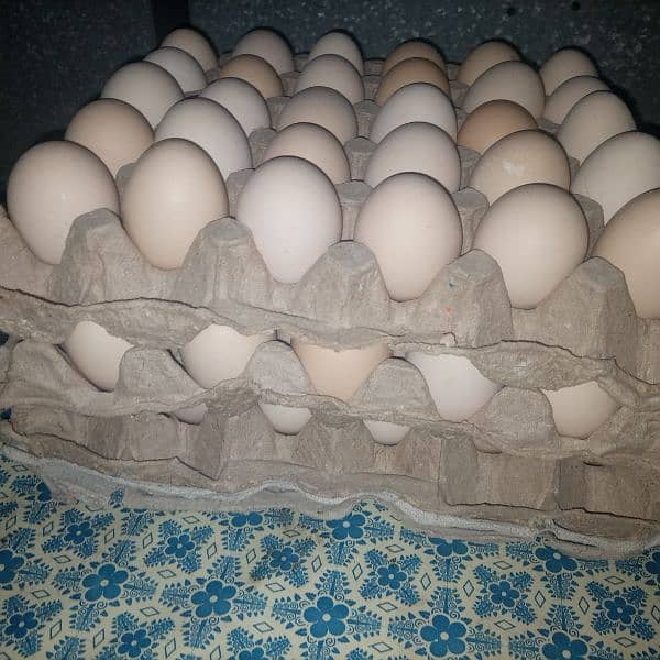 Fresh Desi eggs. RS. 1050 per30Eggs trae 1