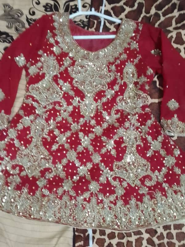 Bridal dress/wedding dress/bridal lehnga/designer bridal dress 7