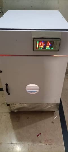 Incubator for sell