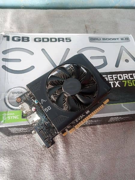 GTX 750 (1GB) 2