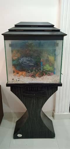 Fish Aquarium | Fish Tank | Fish Aquarium with Wooden Stand