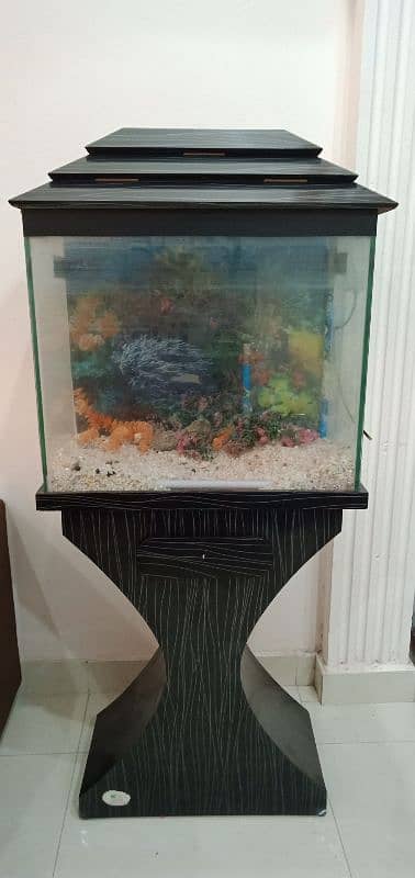 Fish Aquarium | Fish Tank | Fish Aquarium with Wooden Stand 0