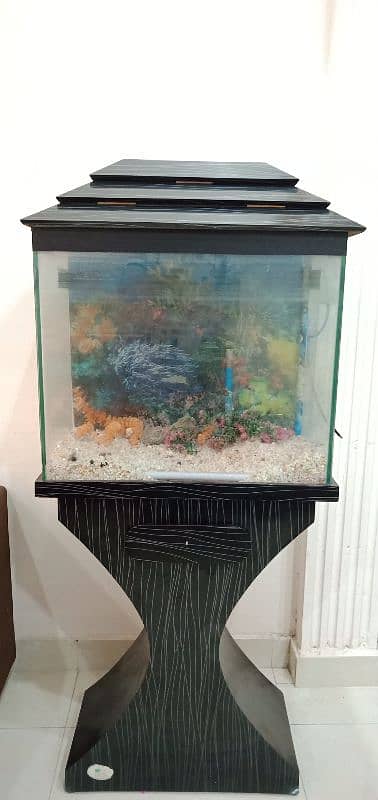 Fish Aquarium | Fish Tank | Fish Aquarium with Wooden Stand 1