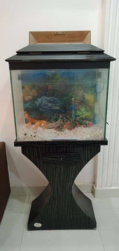 Fish Aquarium | Fish Tank | Fish Aquarium with Wooden Stand 3