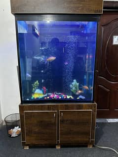 6 feet tall aquarium available in lahore.