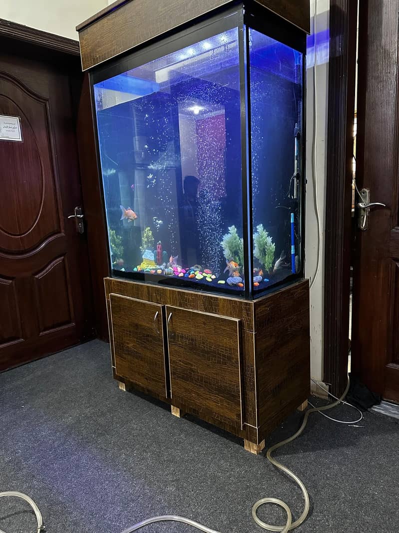 6 feet tall aquarium available in lahore. 1