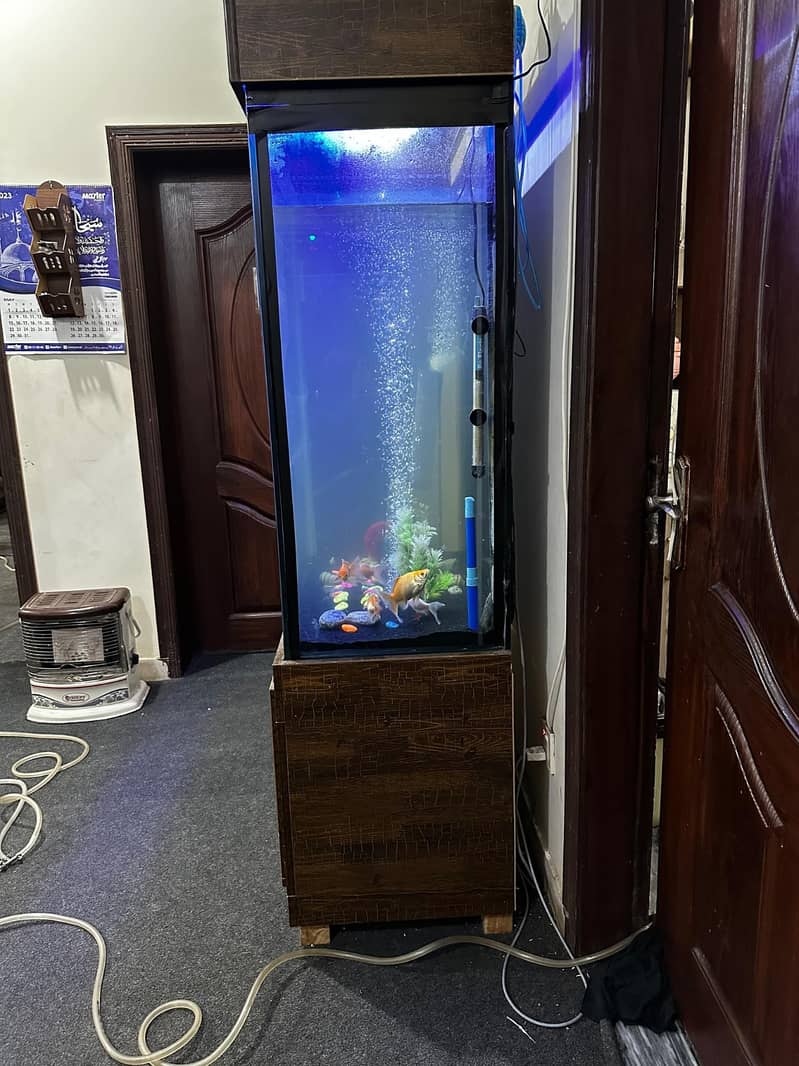 6 feet tall aquarium available in lahore. 2