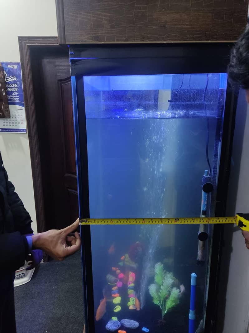 6 feet tall aquarium available in lahore. 3