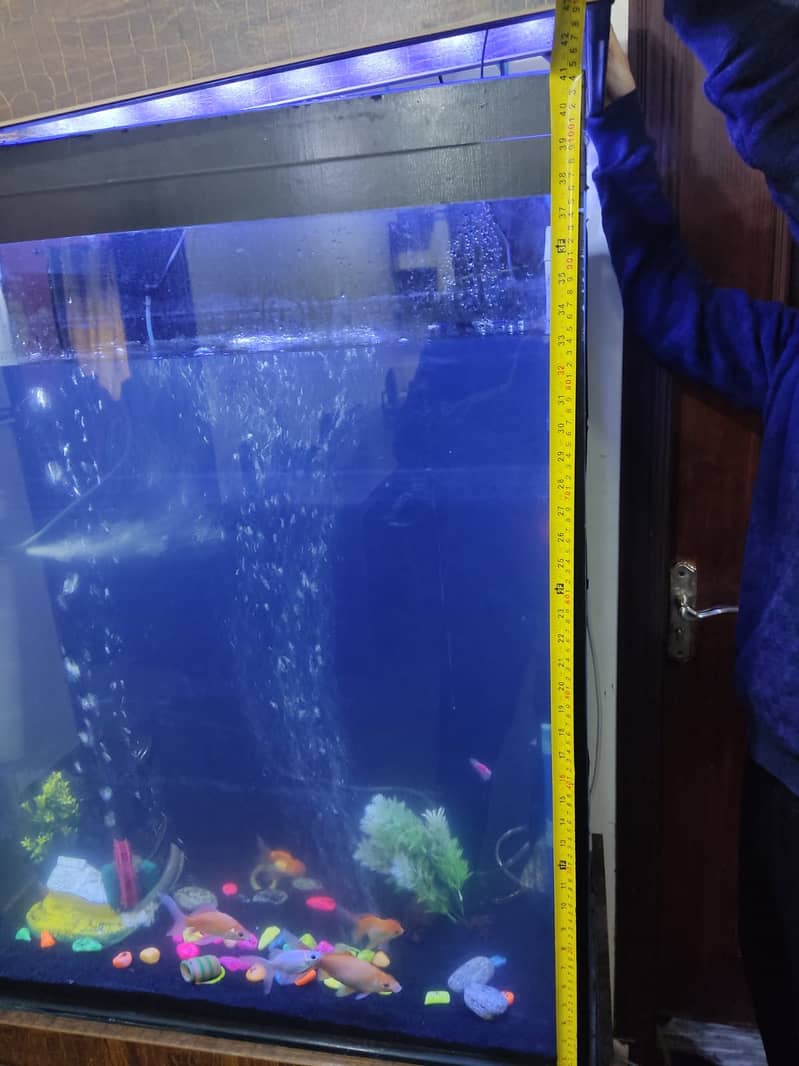 6 feet tall aquarium available in lahore. 5