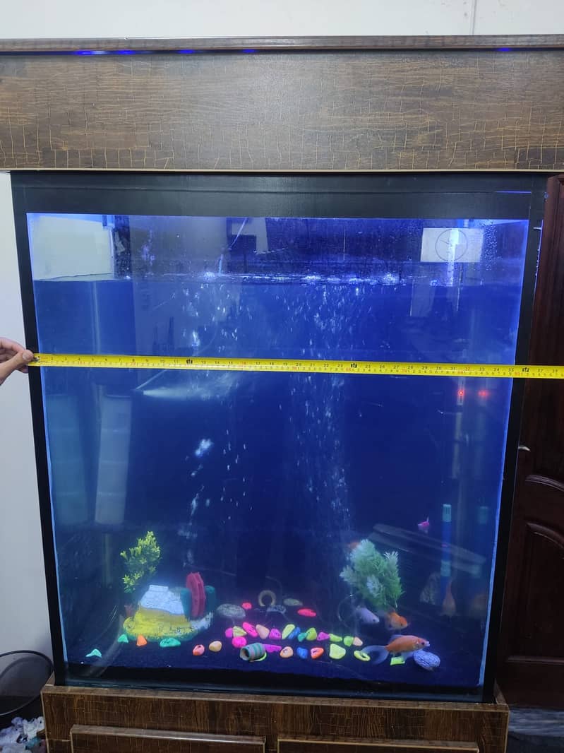 6 feet tall aquarium available in lahore. 7