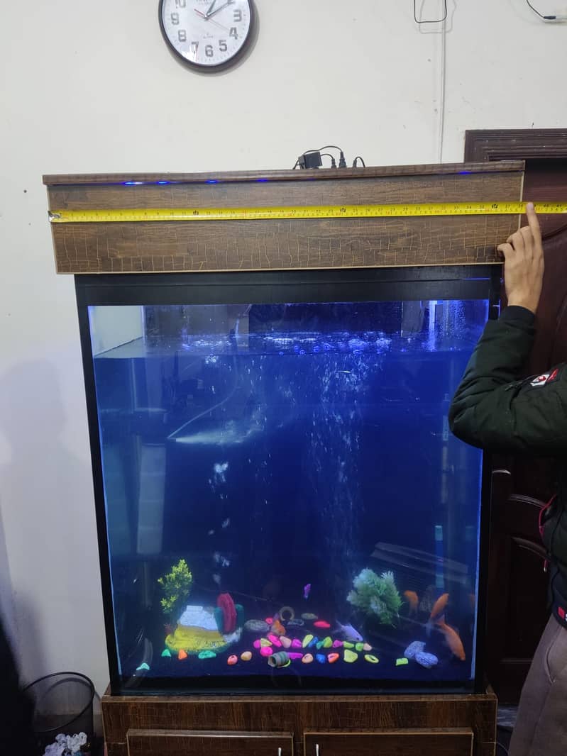 6 feet tall aquarium available in lahore. 9