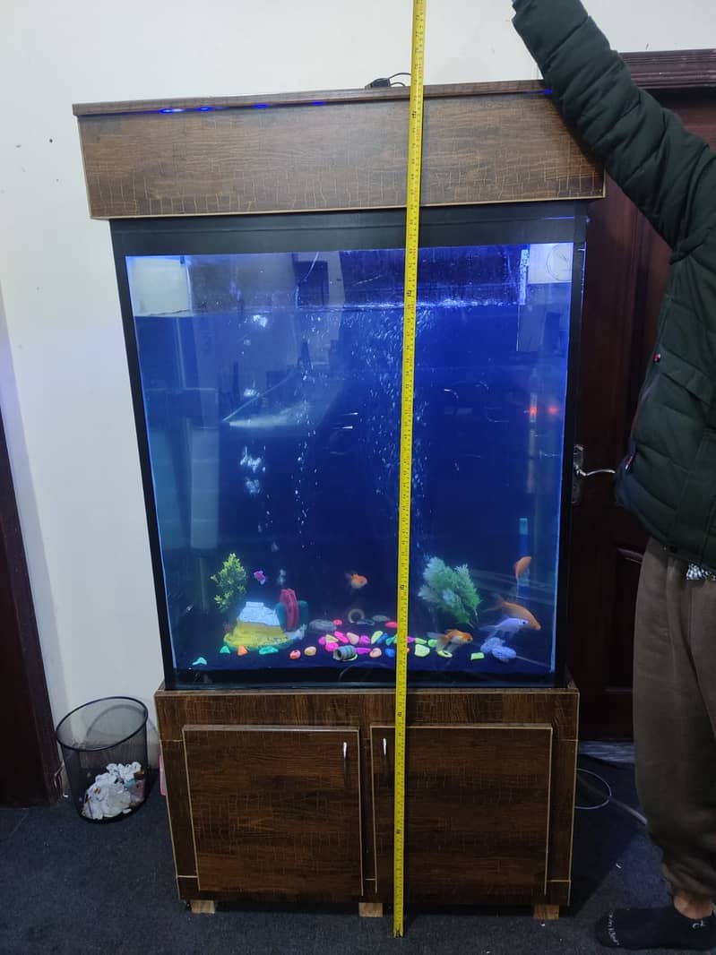 6 feet tall aquarium available in lahore. 11