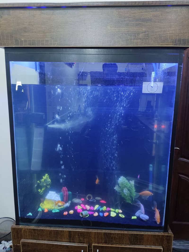 6 feet tall aquarium available in lahore. 13