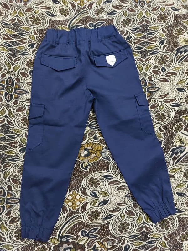 6 Pocket Cargo Trousers 18