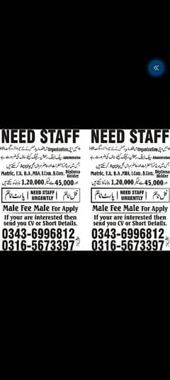 Need staff male and female