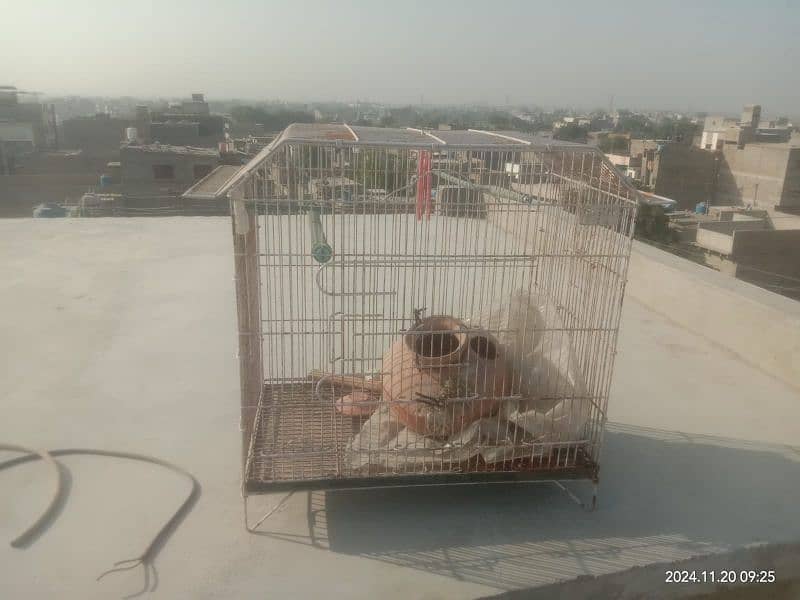 birds cage for sale. 3