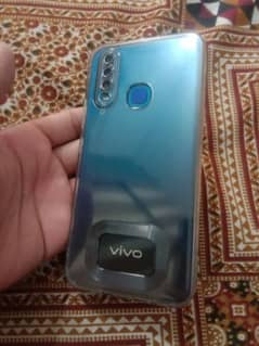 Vivo