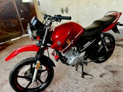 Yamaha YBR 125G 2022 For Sale|YBR In Bikes | Brand New