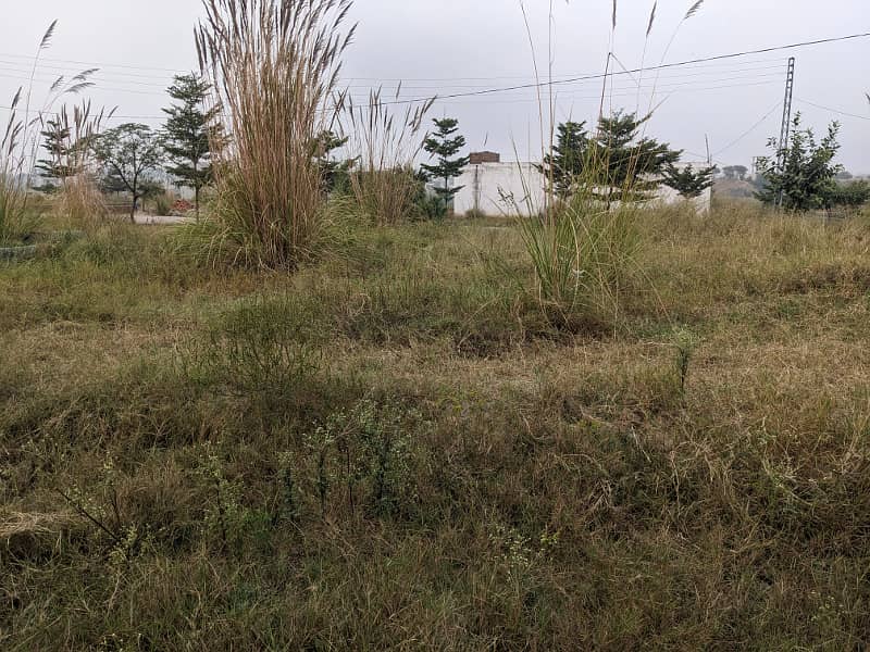 Residential Plot for Sale zamar Valley 0