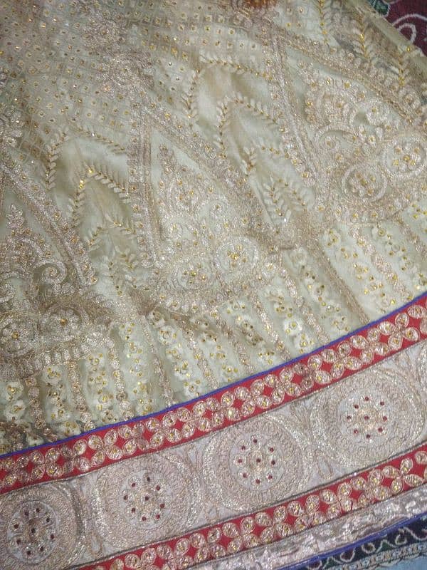 bridal mehndi lanhga for sale 6