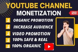 Youtube Monitization In Cheap Price