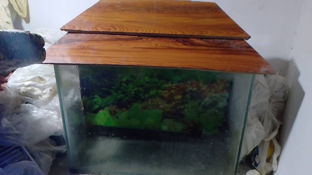 Aquarium for sale 10/8 condition 0