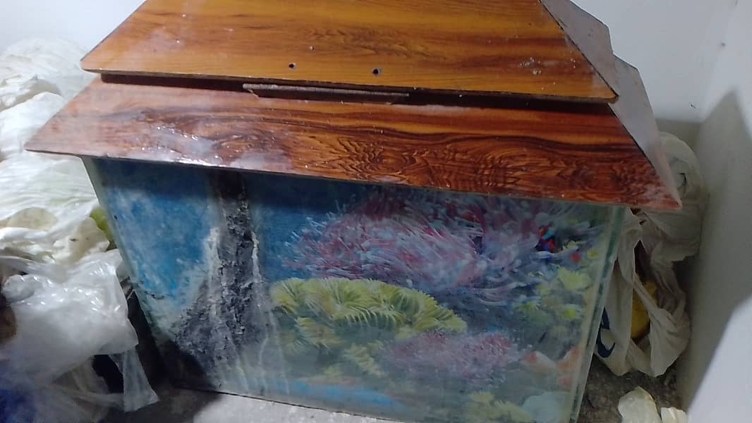 Aquarium for sale 10/8 condition 2