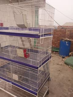 cage for sale / hen cage / iron cage / animal cage