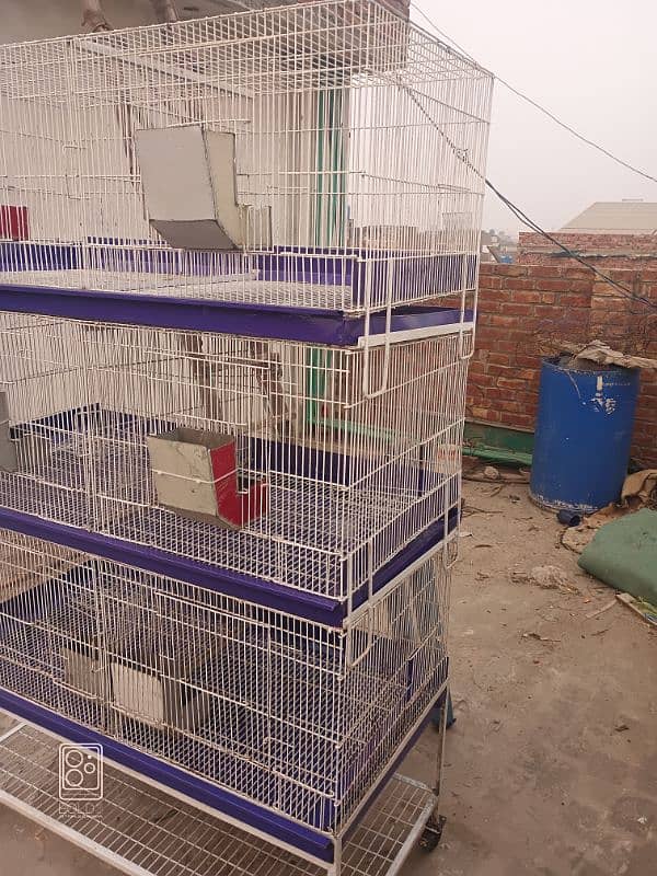 cage for sale / hen cage / iron cage / animal cage 0