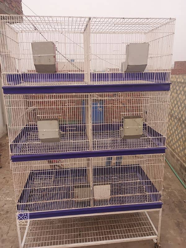 cage for sale / hen cage / iron cage / animal cage 1