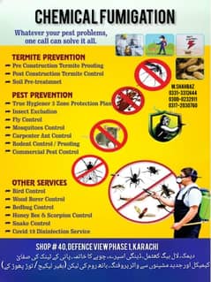 Dengue spary/Termite control/Deemak control/Fumgation/Pest control Se