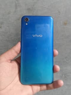 vivo