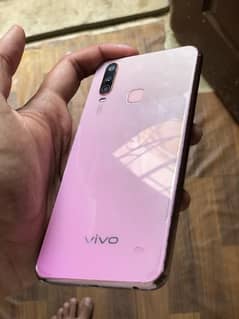 vivo