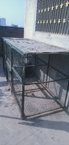 cage iran (pingrah)