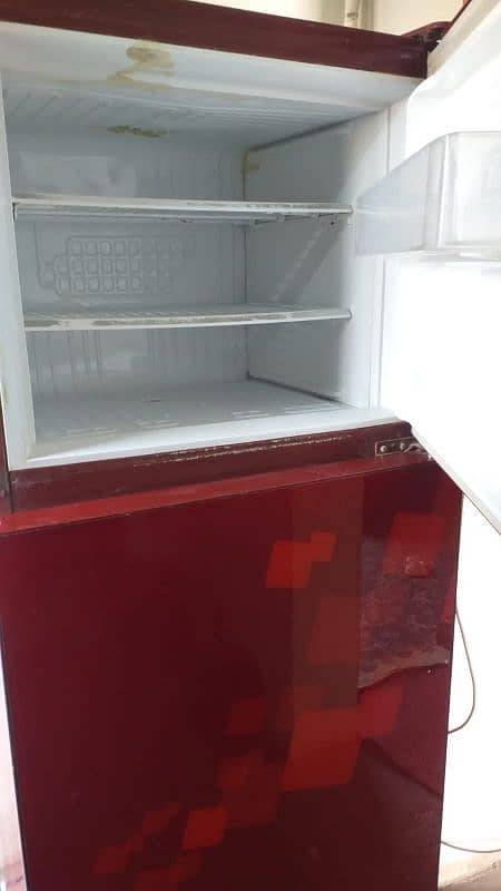 PEL Refrigerator 2