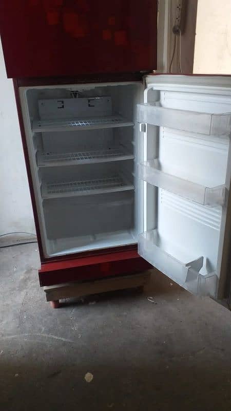 PEL Refrigerator 4