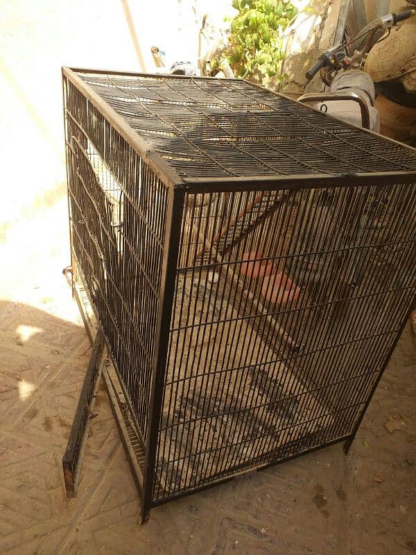 heavy cage sale makkao 0