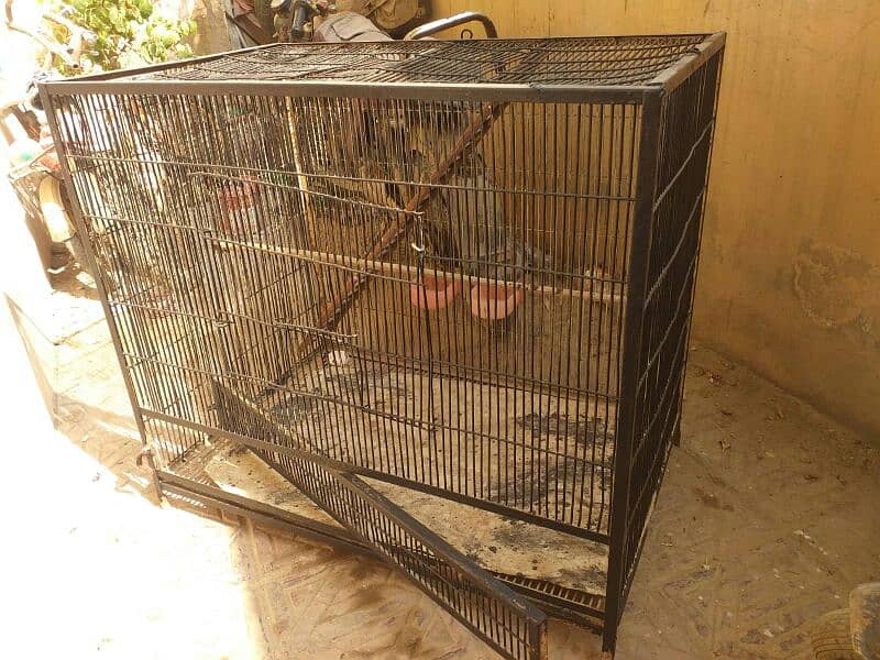 heavy cage sale makkao 1