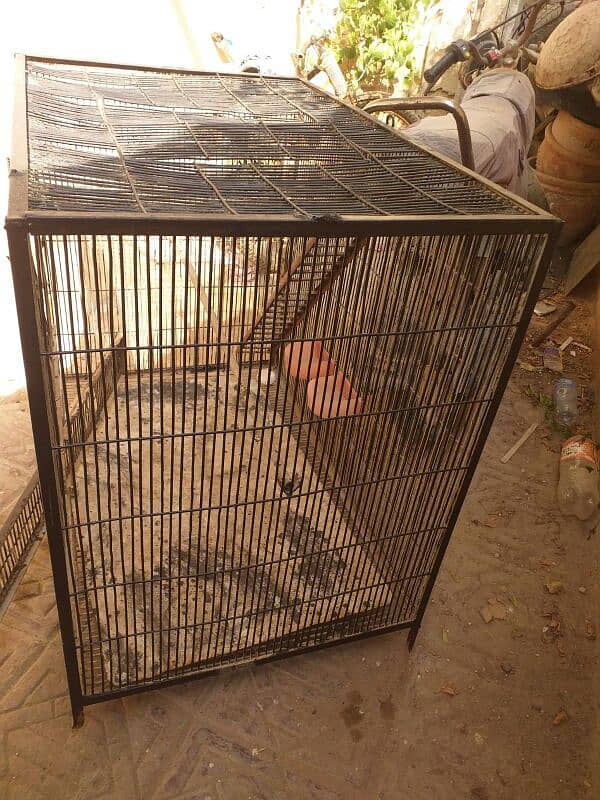 heavy cage sale makkao 3