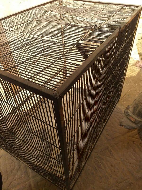 heavy cage sale makkao 4