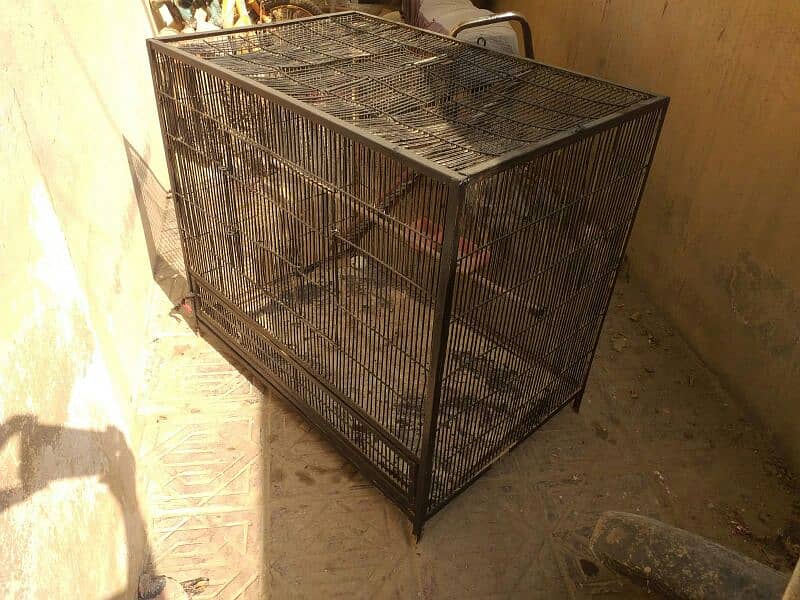 heavy cage sale makkao 6