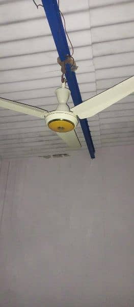 fan sell 1