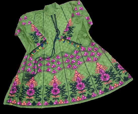 Traditional Green Embroidered Frock with Vibrant Floral Design 0