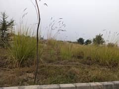 Residential Plot for Sale zamar Valley